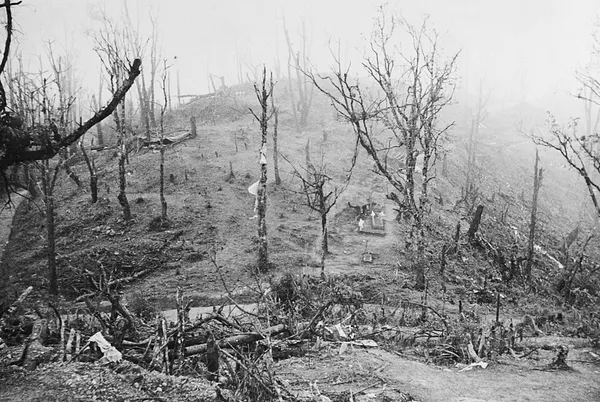 Battle of Kohima