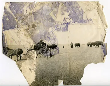 Digital photograph restoration