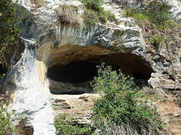 Cave of La Pasiega