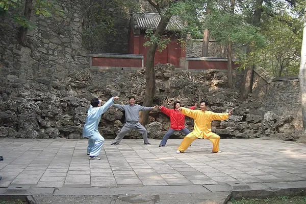 Chen-style tai chi