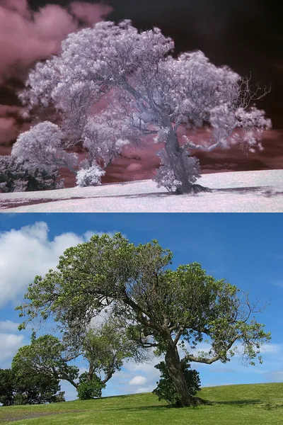 Infrared photography