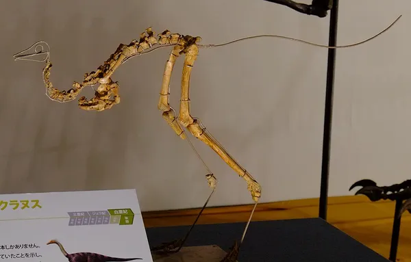 Alvarezsauridae