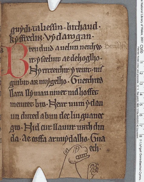 Black Book of Carmarthen