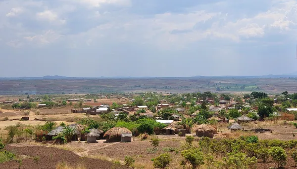 Economic history of Africa