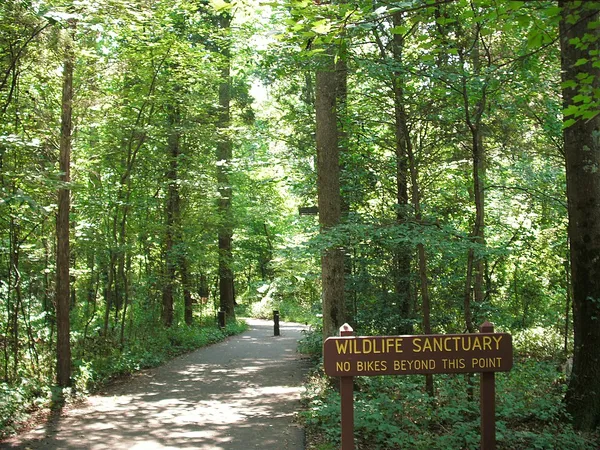 Huntley Meadows Park