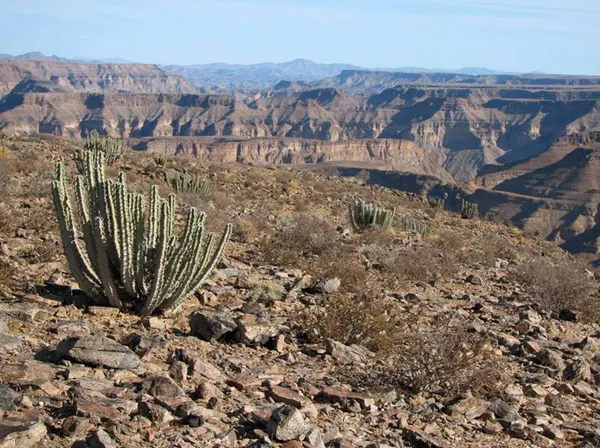 Communal wildlife conservancies in Namibia