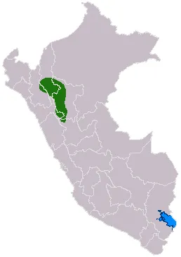 Chachapoya culture