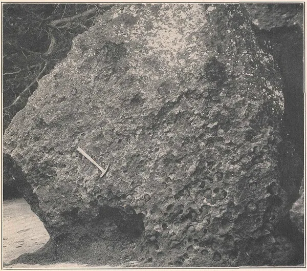Aquia Formation