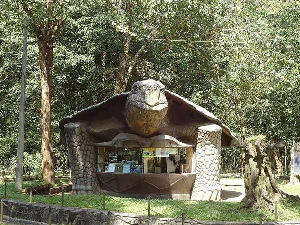 Cultural depictions of turtles