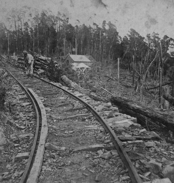 Dun Mountain Railway