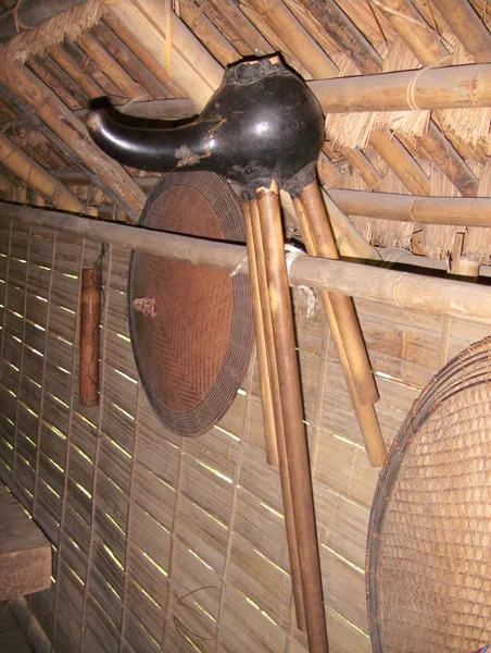 Gourd mouth organ