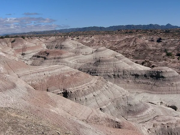 Ischigualasto Formation