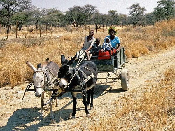 Damara people
