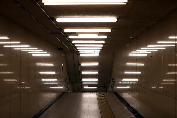 Fluorescent lamp