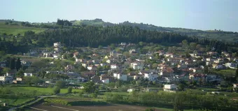 Kalapodi