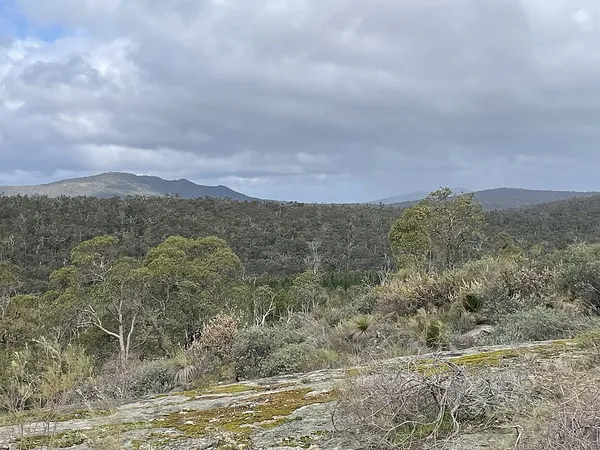 Darling Scarp