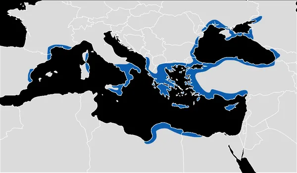 Ancient Greece and wine
