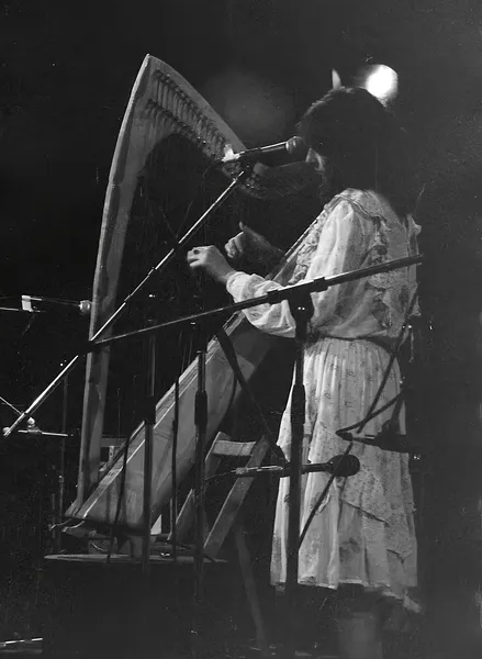 Irish traditional music
