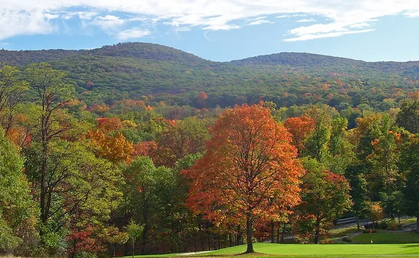 Black Rock Forest