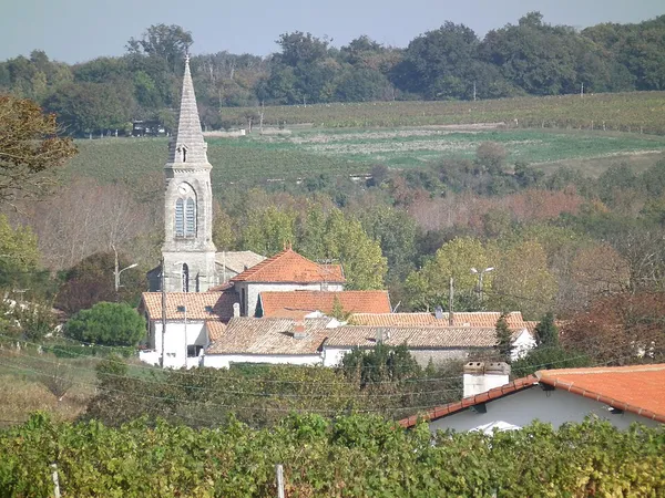 Barzan, Charente-Maritime