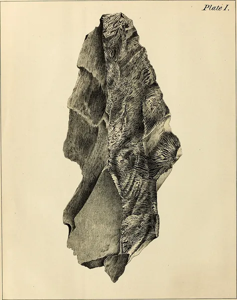 Albertite