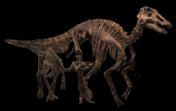Edmontosaurus