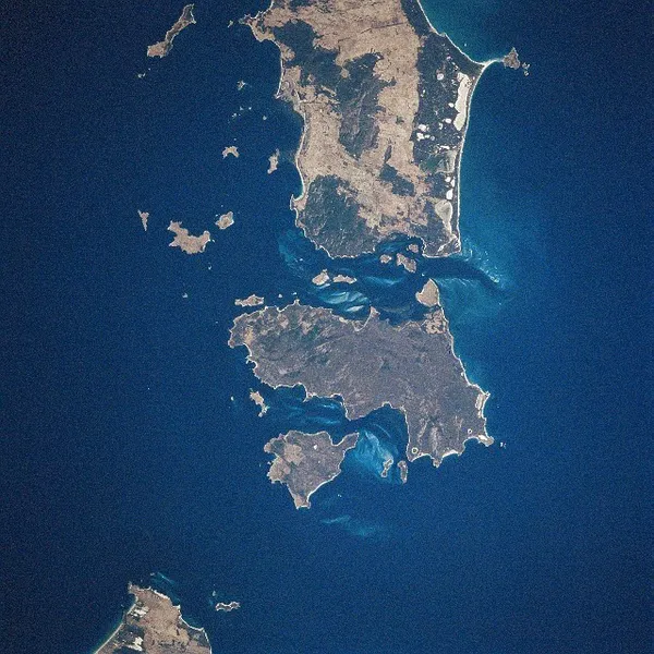 Great Dog Island (Tasmania)