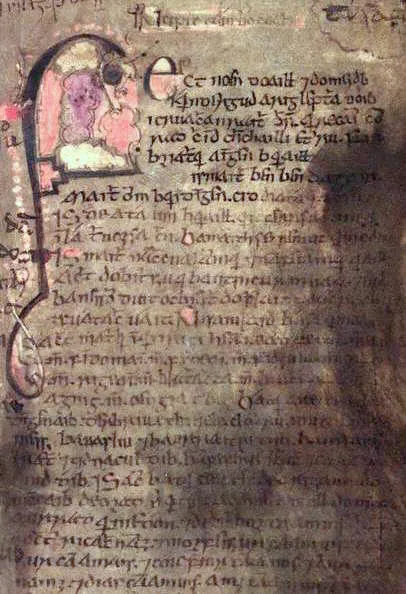 Book of Leinster