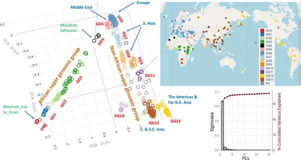 Genetic history of the Middle East
