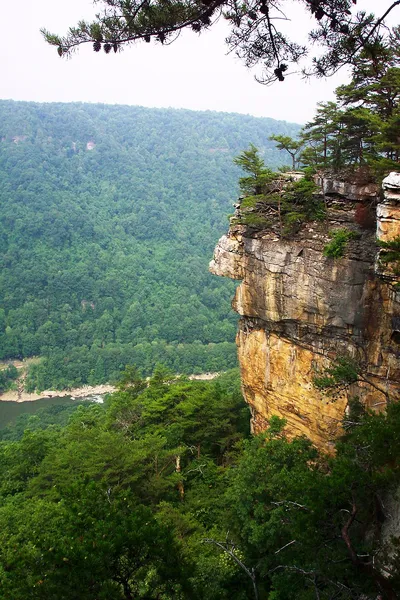 Fauna of West Virginia