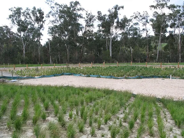 Ecological restoration
