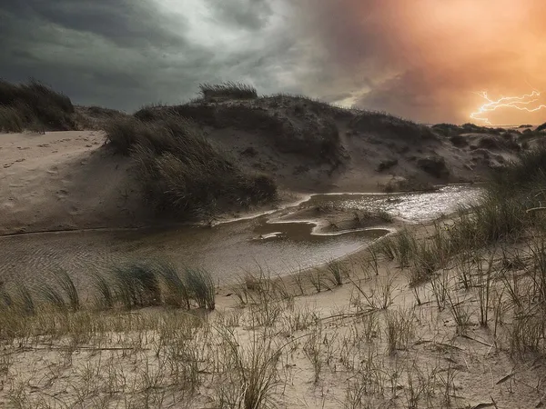Duinen van Texel National Park