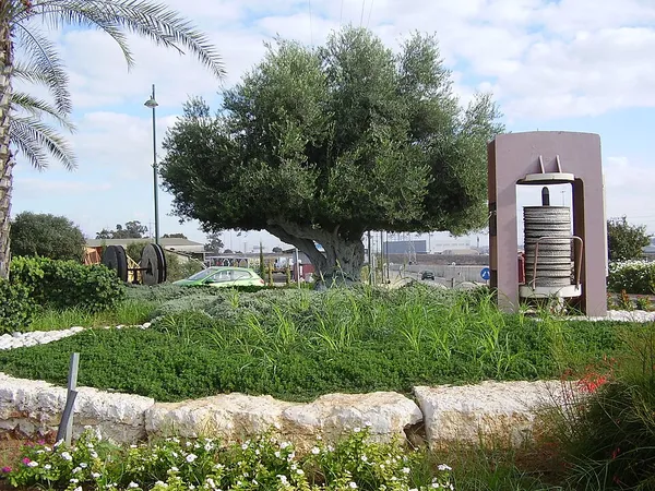 Bnei Darom