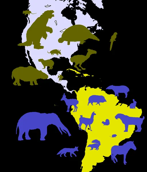 Great American Interchange
