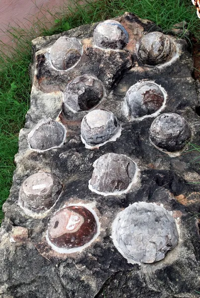 Dinosaur egg