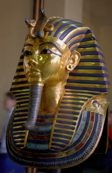 Curse of the pharaohs