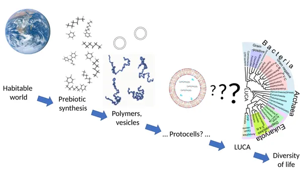 Abiogenesis