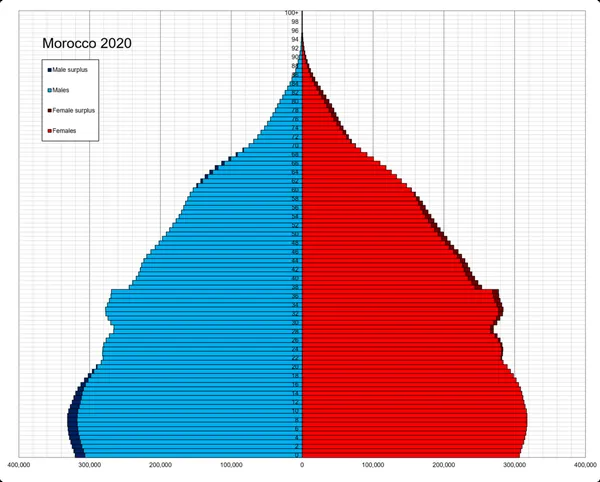 Demographics of Morocco