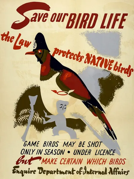 Conservation in New Zealand