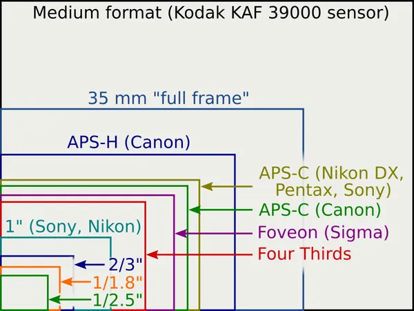 APS-C