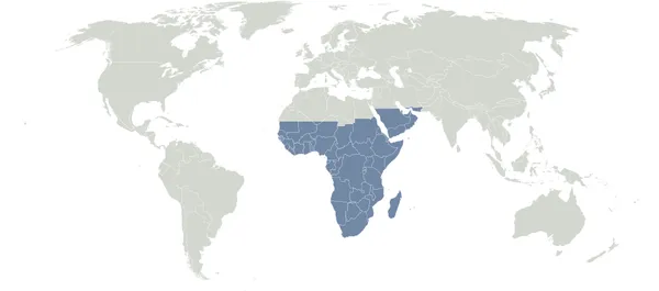 Afrotropical realm