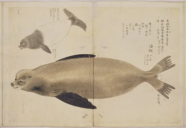Hasegawa Settan