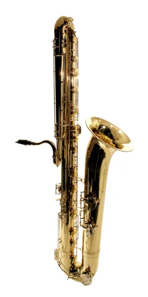 Contrabass saxophone