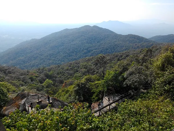 Cardamom Mountains