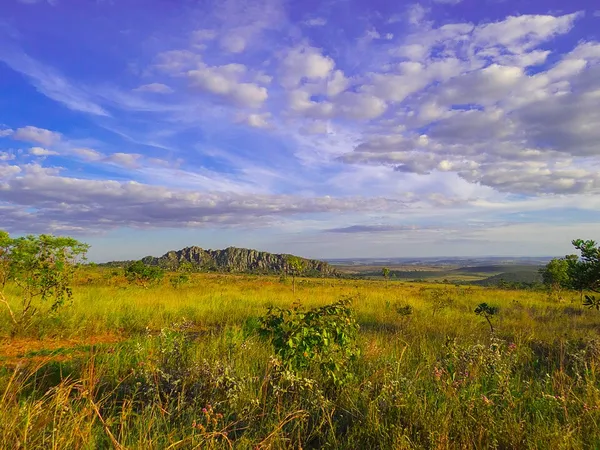 Cerrado