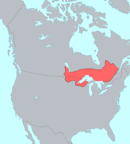 Ojibwe
