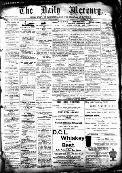 Daily Mercury