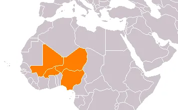 2009–2010 West African meningitis outbreak