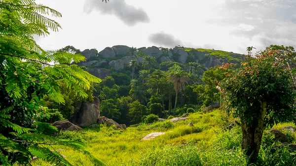 Edo State