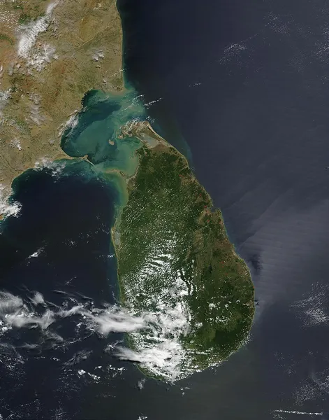 Deforestation in Sri Lanka